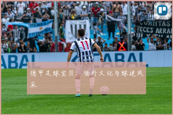 德甲足球宝贝：场外文化与球迷风采