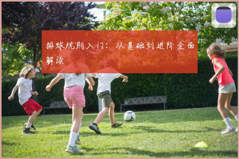 排球规则入门：从基础到进阶全面解读