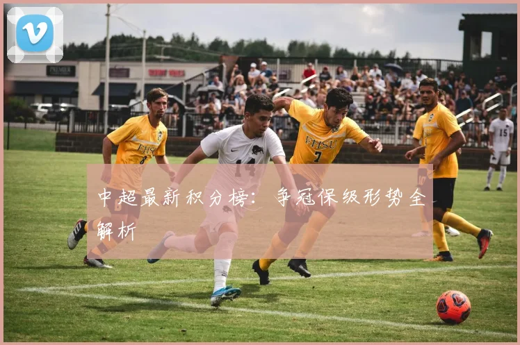 中超最新积分榜:争冠保级形势全解析