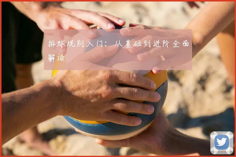 排球规则入门：从基础到进阶全面解读